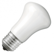 Superluxlamp softone wit 25W E27