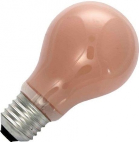 Gloeilamp standaardlamp flame 15W E27