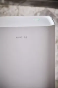 Evolar EVO-DH65 Luchtontvochtiger / Air purifier - 650ML per dag